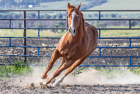 OU Fogerty (He Be Stylish x Singen The Blues)