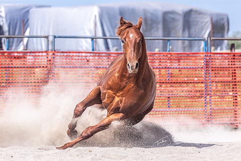 OU Cowboy Time (He Be Stylish x Time In The Sand)