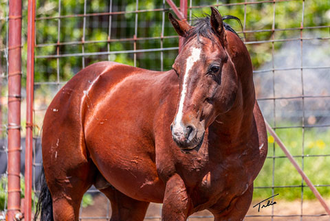 E Street Bay (Hay Maker x Time In The Sand)