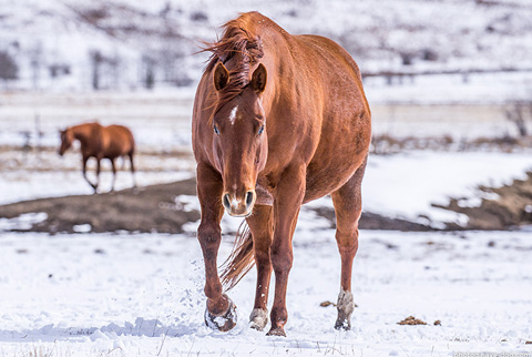 Eighteen (CJ Sugar Lena x Scooter)
