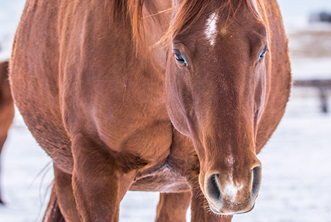 Eighteen (CJ Sugar Lena x Scooter)