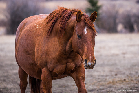 Eighteen (CJ Sugar Lena x Scooter)