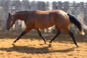 Time In The Sand (One Time Pepto x Sandy Jo Lena)