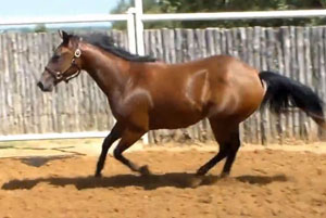 Time In The Sand (One Time Pepto x Sandy Jo Lena)